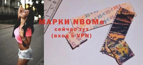 гашик Пересвет