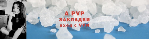 гашик Пересвет