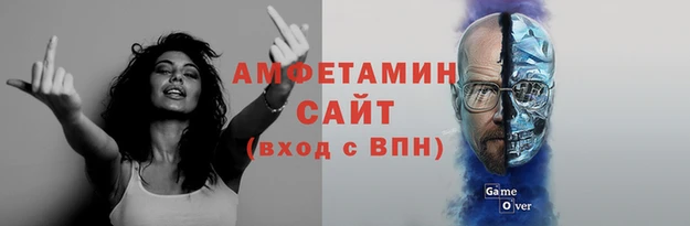 гашик Пересвет