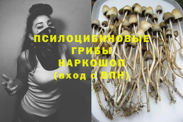 дживик Пестово