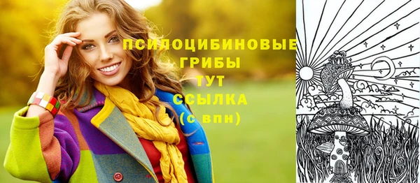 дживик Пестово