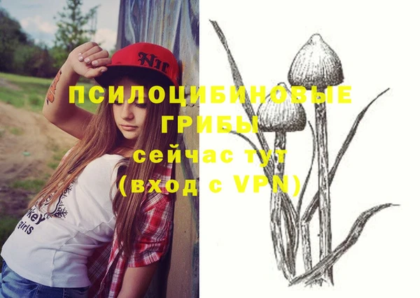 дживик Пестово