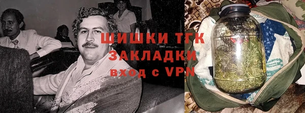 дживик Пестово