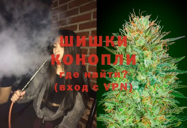 дживик Пестово