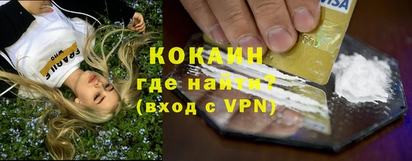 дживик Пестово