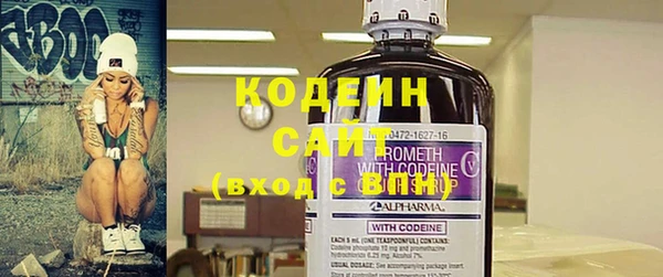 гашик Пересвет