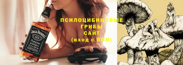 гашик Пересвет