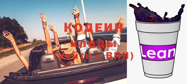 гашик Пересвет