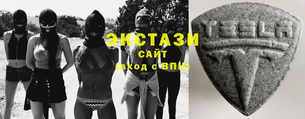гашик Пересвет