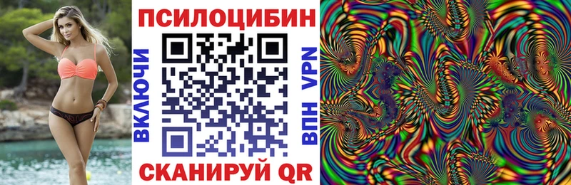 Галлюциногенные грибы Psilocybe  как найти   Уфа 